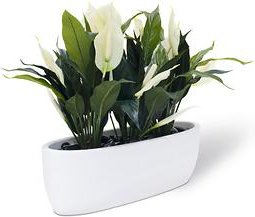 Kunstpflanzen-Tisch-Set 'EASY' matt weiß